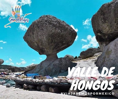 Valle de hongos